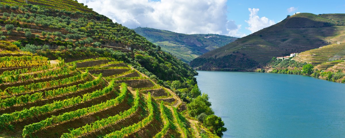 Fluss Douro mit terrassierten Weinbergen im Hintergrund, unter blauem Himmel
