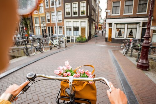 Blick auf einen Fahrradlenker mit Tulpen in einer Tasche auf dem Fahrradkorb. Das Gesicht und die Hände der Fahrradfahrerin sind angeschnitten. Eine Brücke in Amsterdam wird überquert mit historischen Gebäuden und Fahrädern im Hintergrund.