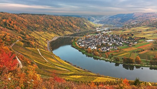 Blick auf die Mosel in Traben-Trarbach im Herbst mit Weinbergen im Hintergrund.