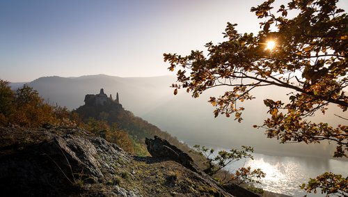 Blick auf die Ruine Dürnstein an der Donau, umgeben von hügeliger Landschaft in nebeliger Herbsstimmung mit Sonneneinfall durch Baumzweige.