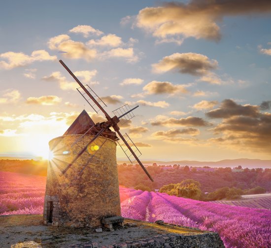 Lavendelfelder in der Provence bei Sonnenuntergang, mit einer historischen Windmühle im Vordergrund