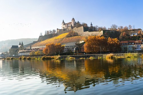 Blick auf die Festung Marienberg in Würzburg, umgeben von herbstlich gelben Weinbergen und dem Main im Vordergrund.