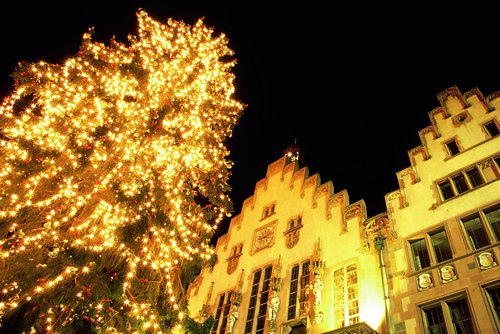 Weihnachtsbaum mit vielen Lichtern neben beleuchtetem historischem Gebäude am Römerberg in Frankfurt bei Nacht.