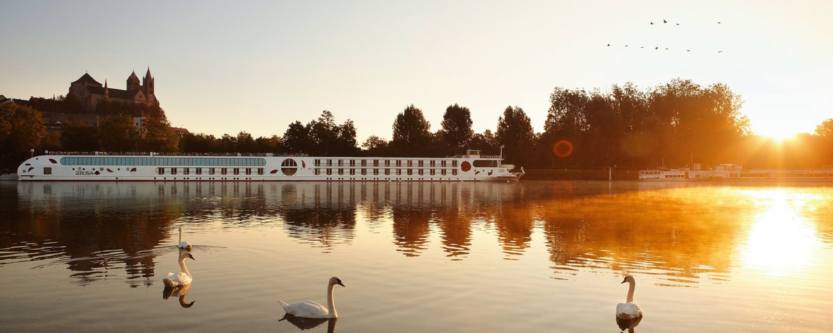 Blick auf ein A-ROSA Flusskreuzfahrtschiff auf dem Rhein bei Sonnenuntergang, umgeben von Bäumen. Im Vordergrund sind Schwäne auf dem Wasser.
