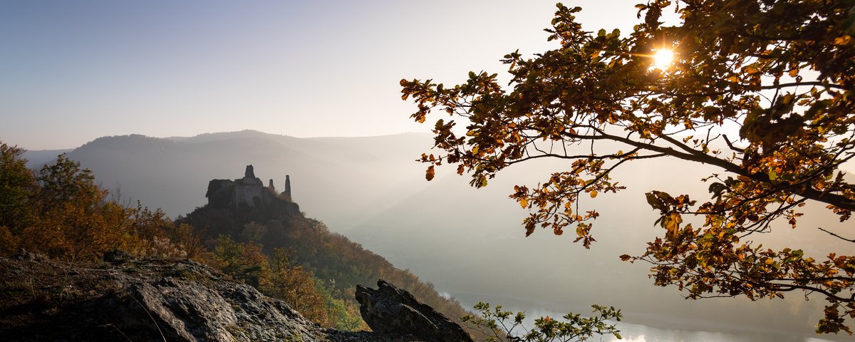 Blick auf eine Burgruine bei Dürnstein vom Hang eines Hügels aus. Die Blätter an den Bäumen am Hügel sind herbstlich gelb und orange, im Hintergrund fließt die Donau durch das Tal.