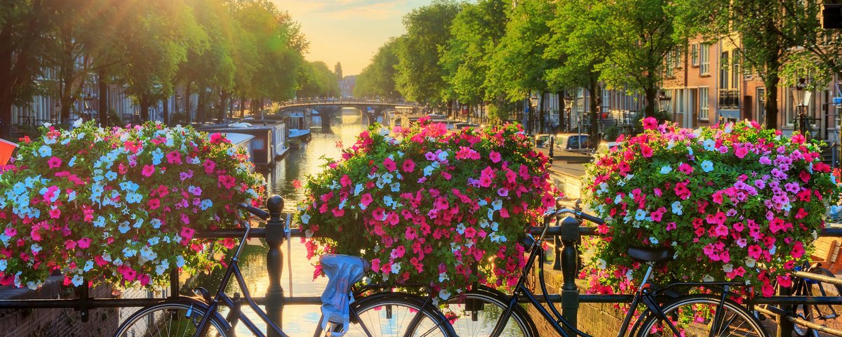 Blumenbepflanzte Brücke über einen Kanal in Amsterdam mit zwei geparkten Fahrrädern und Sonnenlicht am späten Nachmittag