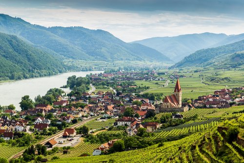 Blick auf ein Dorf in der Wachau mit der Donau, umgeben von grünen Hügeln und Weinbergen, unter bewölktem Himmel.