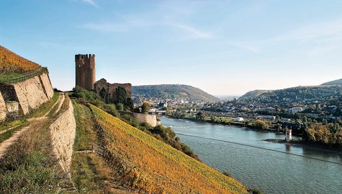 Burgruine Ehrenfels am Rhein, umgeben von herbstlichen Weinbergen und blauem Himmel, mit Blick auf den Fluss und die Stadt Rüdesheim unter klarem Himmel.