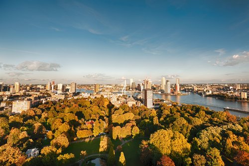 Panoramaansicht von Rotterdam mit modernen Hochhäusern unter klaem Himmel, einem Park im Vordergrund und dem Fluss mit einem Schiff.