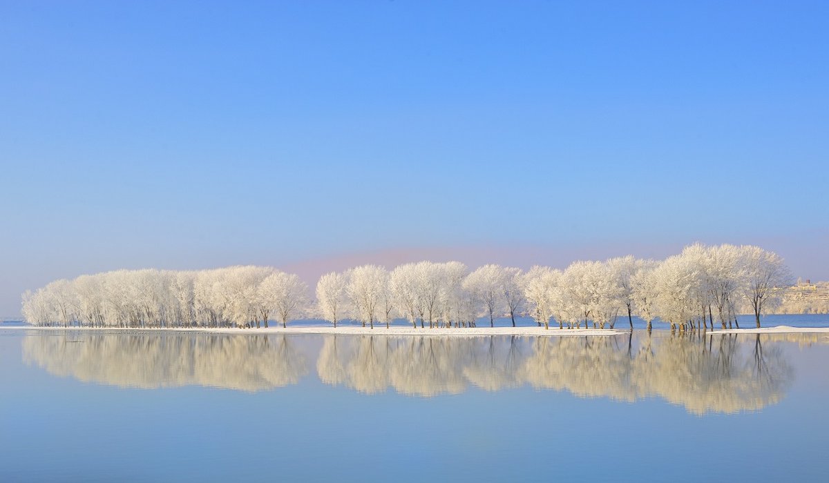 Verschneite Bäume spiegeln sich im ruhigen Wasser der Donau unter klarem blauem Himmel