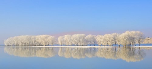 Verschneite Bäume spiegeln sich im ruhigen Wasser der Donau unter klarem blauem Himmel