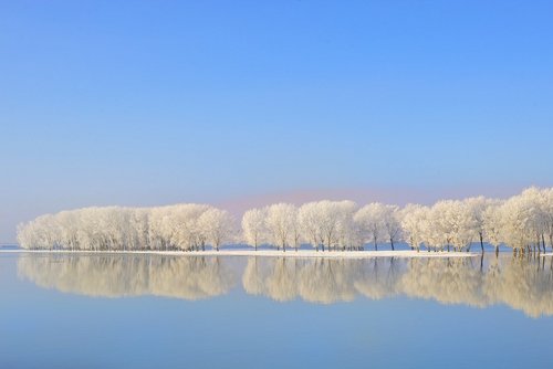 Verschneite Bäume spiegeln sich im ruhigen Wasser der Donau unter klarem blauem Himmel