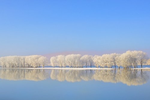 Verschneite Bäume spiegeln sich im ruhigen Wasser der Donau unter klarem blauem Himmel
