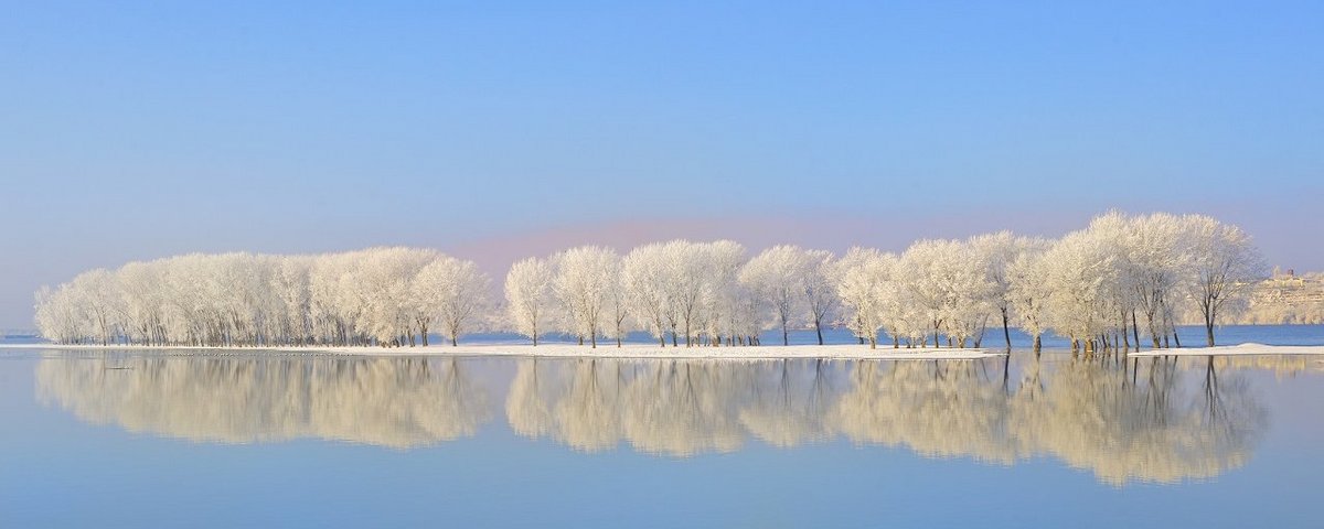 Verschneite Bäume spiegeln sich im ruhigen Wasser der Donau unter klarem blauem Himmel