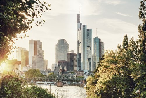 Blick aus einem Park über den Main auf die Frankfurter Skyline bei Sonnenuntergang, mit Hochhäusern und einer Brücke.