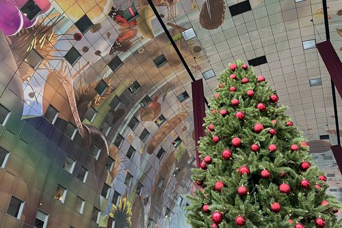 Die moderne Markthalle in Rotterdam mit der großen, bunten Decke mit Fenstern, die sich über den Innenraum mit Marktständen wölbt. Im Vordergrund ein geschmückter Weihnachtsbaum.