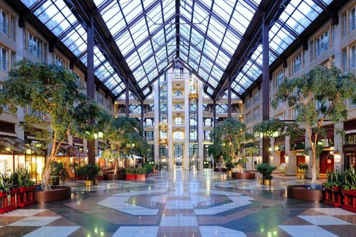 Eingangshalle des Maritim Hotel Köln mit Glasdach, begrünten Bäumen und symmetrischem Bodenmuster aus verschiedenen Steinplatten. 