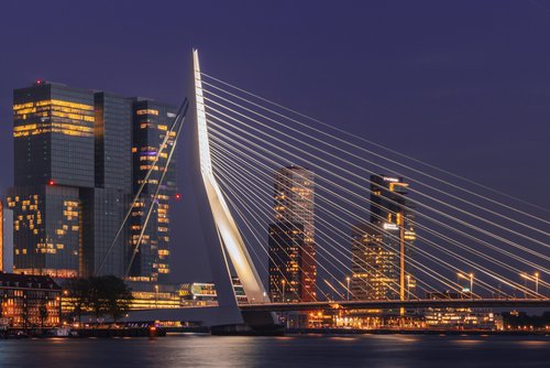 Skyline von Rotterdam mit modernen Hochhäusern und der Erasmusbrücke im Vordergrund, bei Nacht
